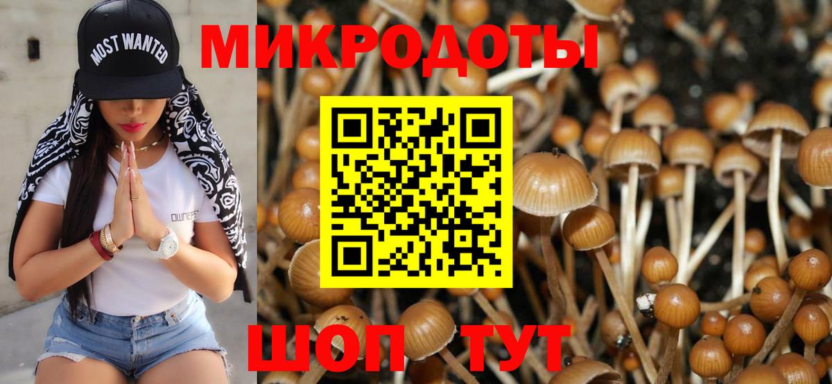 Псилоцибиновые грибы прущие грибы Владикавказ