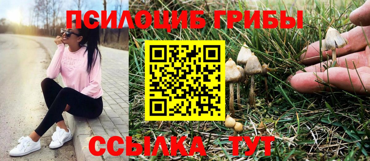 Галлюциногенные грибы GOLDEN TEACHER  Вход с VPN  наркота  Владикавказ 